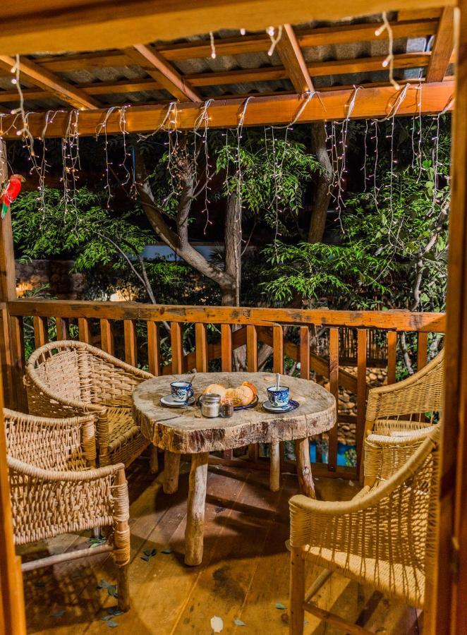 Hotel Colibri Pozos  エクステリア 写真