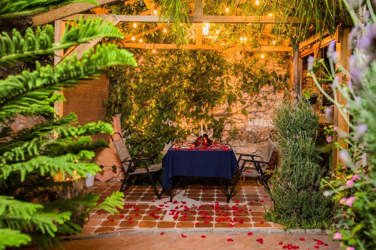Hotel Colibri Pozos  エクステリア 写真